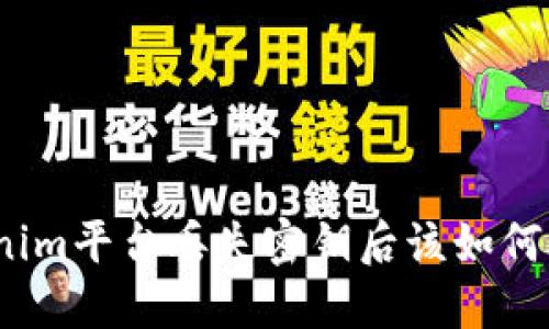 Tokenim平台丢失密钥后该如何处理?