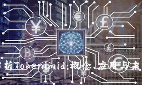 深入解析Tokenimid:概念、应用与未来发展