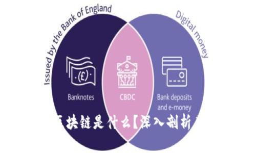 数字货币的区块链是什么?深入剖析其原理与应用