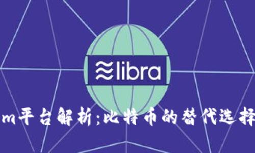 Tokenim平台解析:比特币的替代选择与潜力