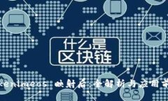 Tokenimeos 映射后：全解析与