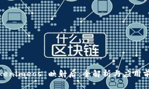 Tokenimeos 映射后:全解析与应用前景