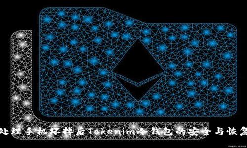 如何处理手机坏掉后Tokenim冷钱包的安全与恢复问题