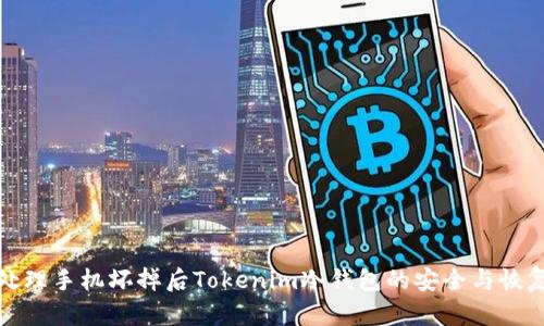 如何处理手机坏掉后Tokenim冷钱包的安全与恢复问题