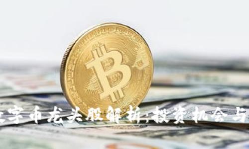 区块链数字币龙头股解析：投资机会与前景展望