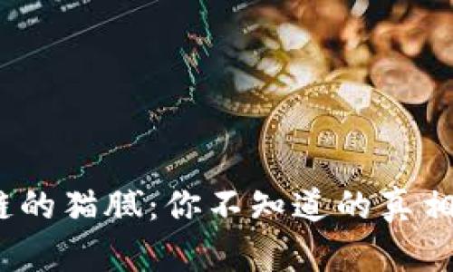 揭秘区块链的猫腻:你不知道的真相与潜在风险