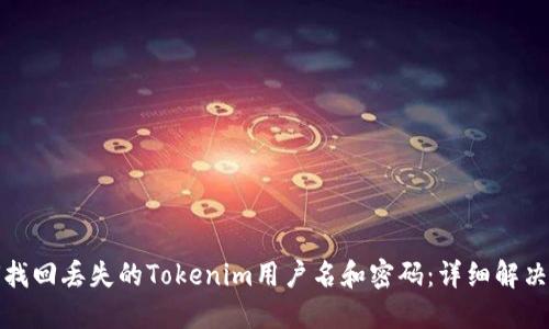 如何找回丢失的Tokenim用户名和密码：详细解决方案