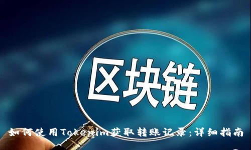 如何使用Tokenim获取转账记录:详细指南