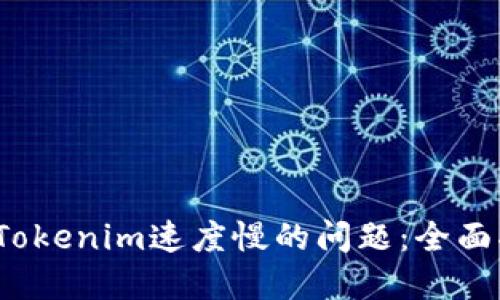 解决转账Tokenim速度慢的问题:全面指南与策略