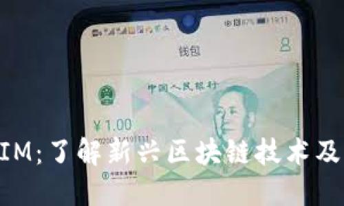 TokenIM:了解新兴区块链技术及其应用