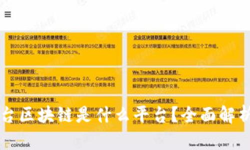 网红平台区块链是什么平台?全面解析与分析