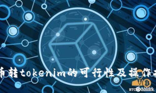 货币转tokenim的可行性及操作指南