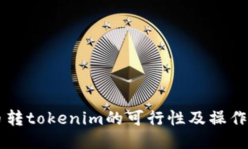 货币转tokenim的可行性及操作指南