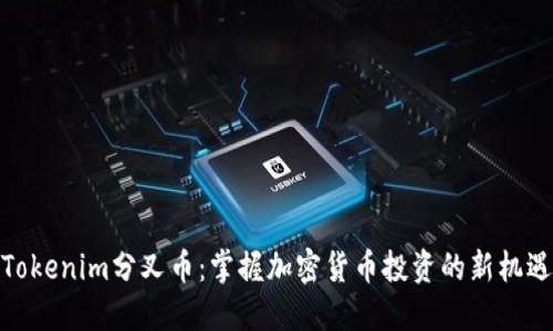 Tokenim分叉币：掌握加密货币投资的新机遇