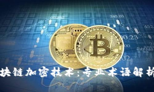 深入了解区块链加密技术:专业术语解析与应用场景