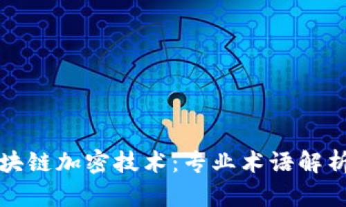 深入了解区块链加密技术:专业术语解析与应用场景