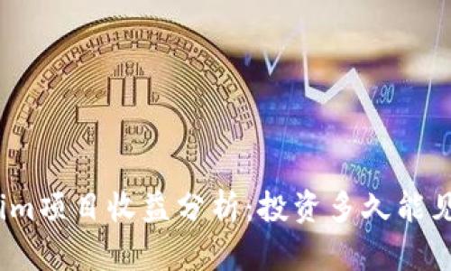 Tokenim项目收益分析:投资多久能见收益?