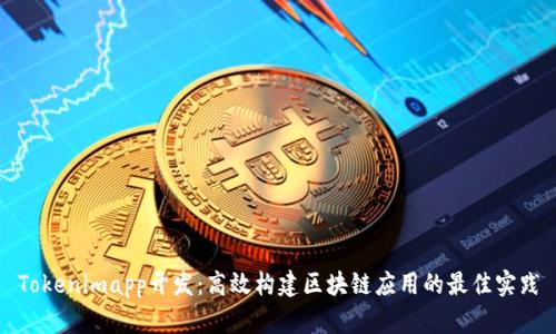 Tokenimapp开发:高效构建区块链应用的最佳实践