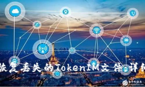 如何恢复丢失的TokenIM文件:详细指南