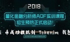 如何将 Shi 币成功提现到