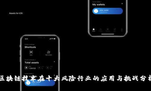 区块链技术在十大风险行业的应用与挑战分析