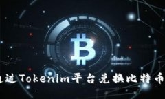 如何通过Tokenim平台兑换比