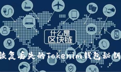 如何安全恢复丢失的Tokenim钱包秘钥：完整指南