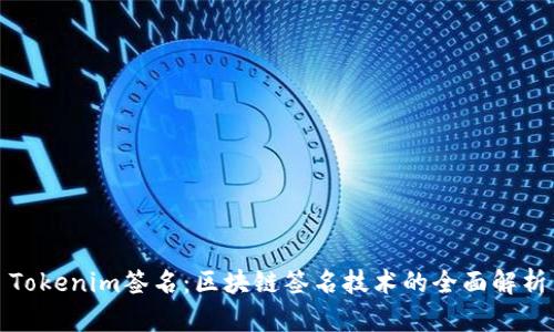 Tokenim签名：区块链签名技术的全面解析