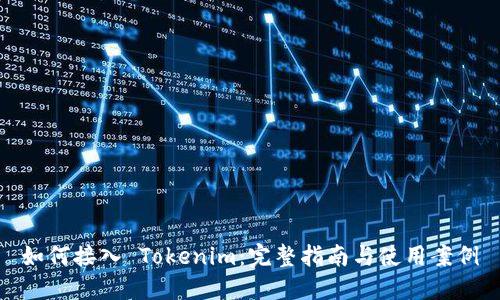如何接入 Tokenim：完整指南与使用案例