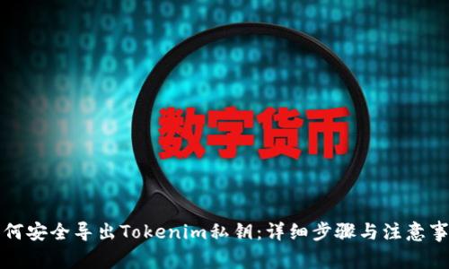 如何安全导出Tokenim私钥：详细步骤与注意事项