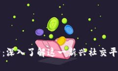 区块链推特：深入了解这