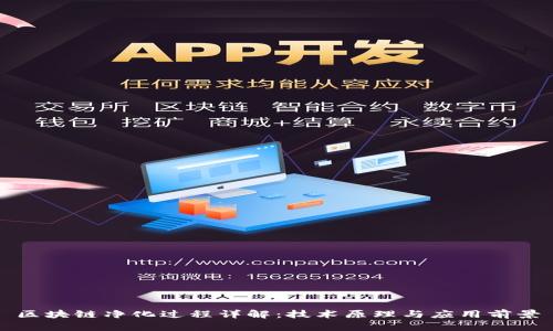 区块链净化过程详解：技术原理与应用前景