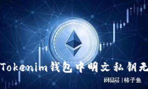 如何解决Tokenim钱包中明文私钥无效的问题