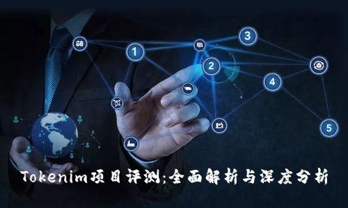 Tokenim项目评测：全面解析与深度分析
