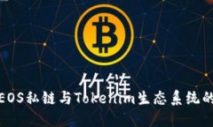 深入了解EOS私链与Tokenim生
