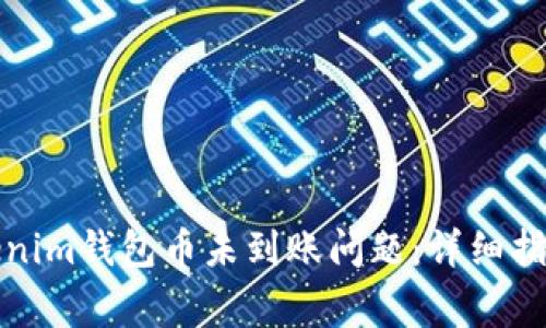 如何解决Tokenim钱包币未到账问题：详细指南与常见问答