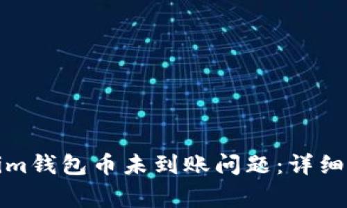 如何解决Tokenim钱包币未到账问题：详细指南与常见问答