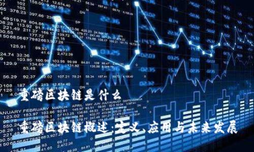 重磅区块链是什么

重磅区块链概述：定义、应用与未来发展
