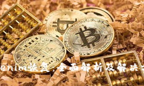 Tokenim恢复：全面解析及解决方案