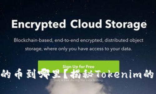 Tokenim子地址收的币到哪里？揭秘Tokenim的钱包与子地址管理