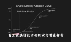 荷兰区块链技术的现状与