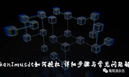 TokenImusdt如何授权：详细步骤与常见问题解析