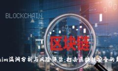 Tokenim漏洞分析与风险评估