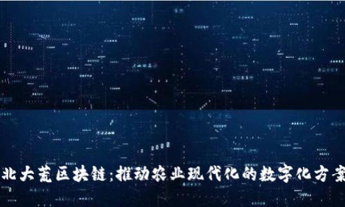 北大荒区块链：推动农业现代化的数字化方案