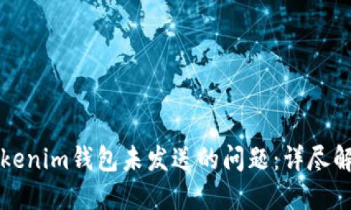 如何解决Tokenim钱包未发送的问题：详尽解决方案指南