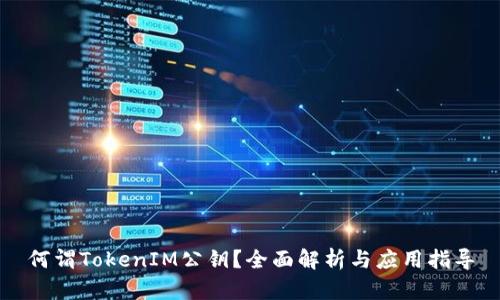 何谓TokenIM公钥？全面解析与应用指导
