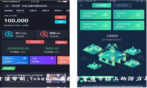 Tokenim价值分析：Tokenim在数字货币市场上的潜力与投资机会