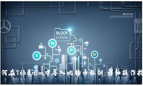 如何在Tokenim中导入比特币私钥：详细操作指南