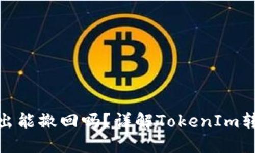 TokenIm转出能撤回吗？详解TokenIm转账撤回机制