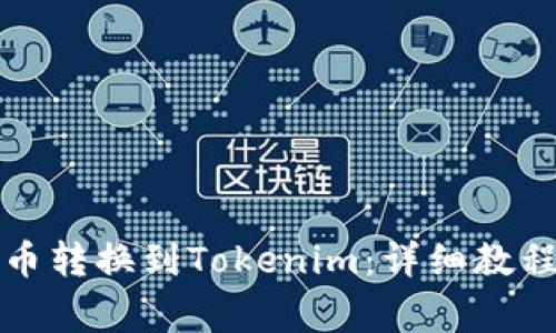 如何将狗狗币转换到Tokenim：详细教程与注意事项